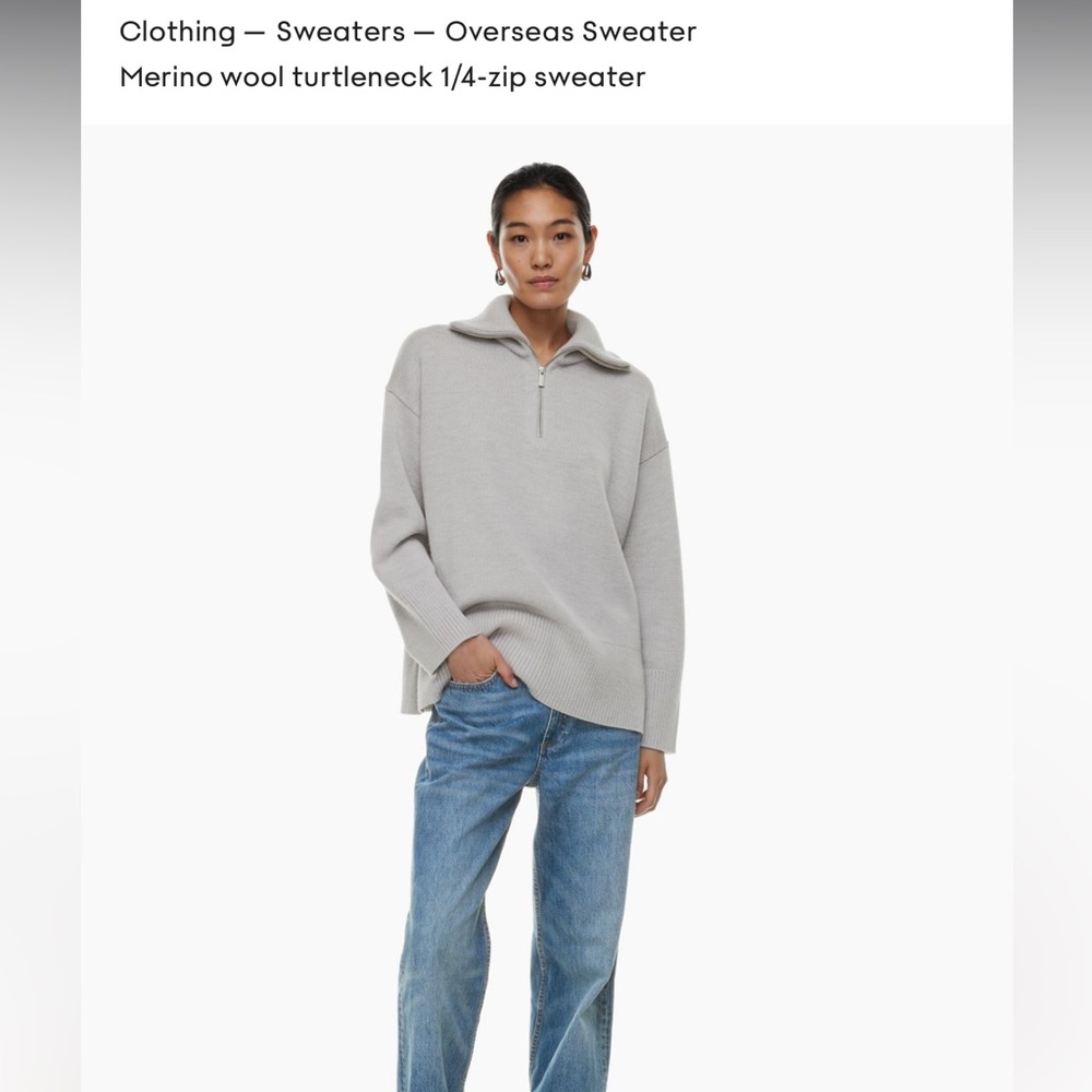 Aritzia Babaton overseas sweater